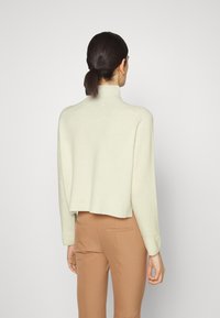 Gekürzter Rollkragenpullover in hellem Creme, gestrickte Textur, geripptes Bündchen, kombiniert mit passenden beigen Hosen, von hinten betrachtet.