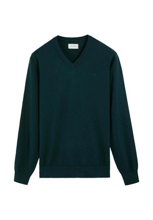 Jersey de manga larga en verde oscuro con cuello en V, puños y bajo acanalados, fabricado con tejido de punto suave.