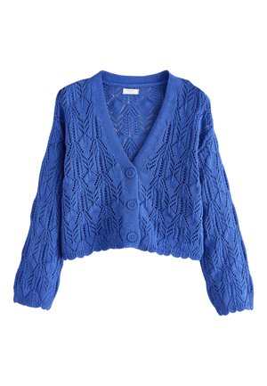 Next V-NECK STITCH - Adīta jaka - blue