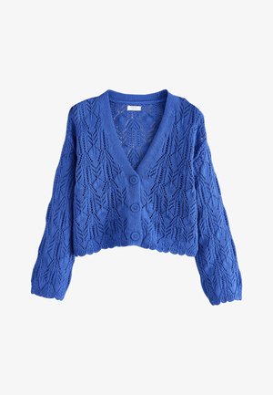 Blauer gestrickter Cardigan mit Rautenmuster, drei Knöpfen, langen Ärmeln und welligem Saum.