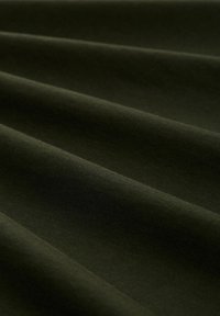 TOM TAILOR LOGO  - Marškinėliai su spaudiniu - dark rosin green