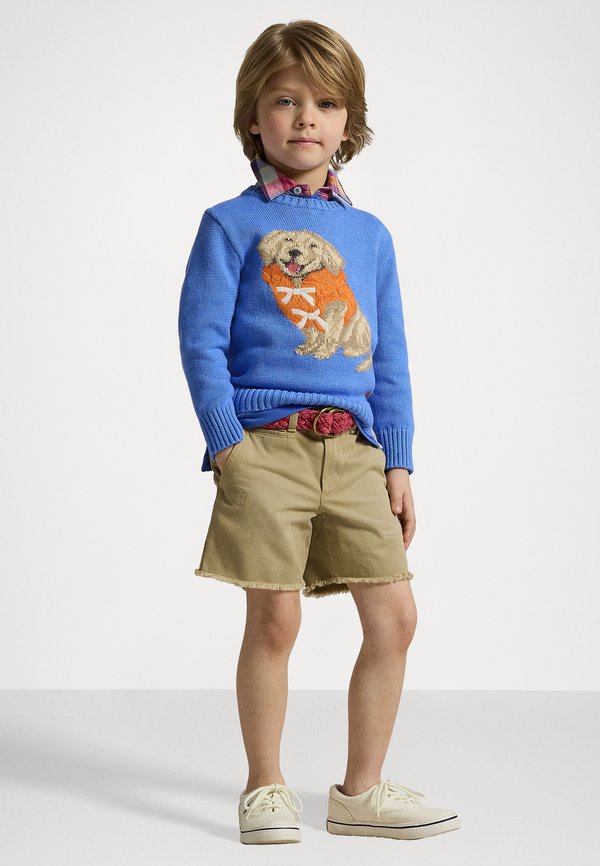 DOG INTARSIA COTTON SWEATER - Jumper4