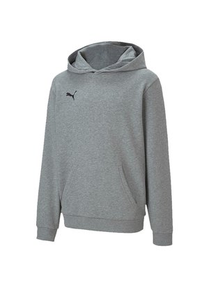 TEAMGOAL 23 CASUALS HOODY JR UNISEX - Mikina - grau