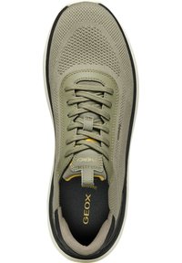 Zapatilla de malla verde con un upper texturizado, lengüeta acolchada, cordones y suela negra. Presenta un logo en la plantilla y en el panel lateral.