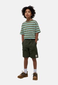 Chemise à rayures, à manches courtes, en marron, vert et bleu, associée à un short vert olive. Comprend un écusson avec logo, des chaussettes blanches et des baskets marron.