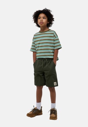 Chemise à rayures, à manches courtes, en marron, vert et bleu, associée à un short vert olive. Comprend un écusson avec logo, des chaussettes blanches et des baskets marron.