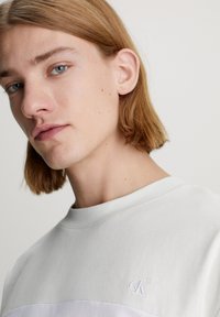 Calvin Klein Jeans COLORBLOCK - Camiseta estampada - bright white icicle