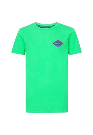 T-shirt print - andean toucan