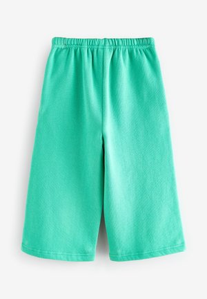 Turkise bomuldsshorts med elastisk talje, der har en glat tekstur og knælang længde. Enkel design uden yderligere detaljer.