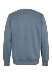 Szara bawełniana bluza z okrągłym dekoltem, długimi rękawami i ściągaczami na końcach rękawów. Gładka tekstura w jednolitym kolorze bez widocznych wzorów.