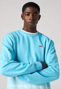 Lichtblauwe sweatshirt van een zachte stof, met een ronde hals, lange mouwen en een klein rood Levi's logo op de borst.