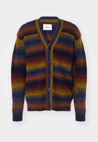VIGGO CARDIGAN - Casaco de malha - multi shades