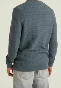 Dark teal textured sweater with a raised grid pattern, round neckline, and ribbed cuffs. Worn with light gray pants, showing the back view.