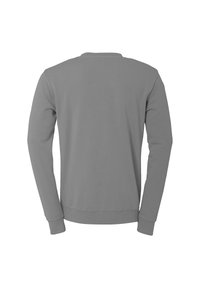 En ensfarvet grå langærmet crewneck skjorte vist fra bagsiden, med ribbede manchetter og talje på en hvid baggrund.