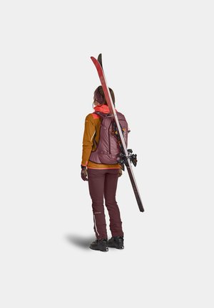 Die Skiausrüstung umfasst eine braune Jacke, bordeauxfarbene Skihosen und einen lila Rucksack. Skier lehnen gegen den Rucksack. Außerdem werden Handschuhe und ein Stirnband getragen.