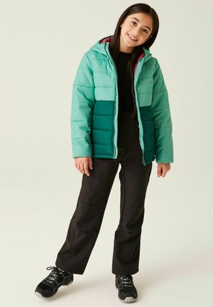 Regatta, REGATTA LOFTHOUSE VIII INSULATED JACKET HEAVY WEIGHT FILL UNISEX - Winter jacket - green