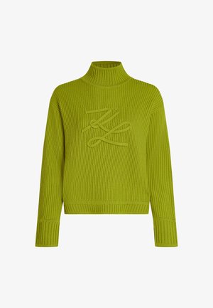 Groene gebreide trui met een hoge hals, voorzien van een gemêleerd ribpatroon en een geborduurd ontwerp aan de voorkant. Lange mouwen en aansluitende boorden.