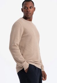 Beiger Strickpullover mit strukturiertem Muster, Rundhalsausschnitt und langen Ärmeln. Kombiniert mit dunklen Hosen, vor einem schlichten weißen Hintergrund.