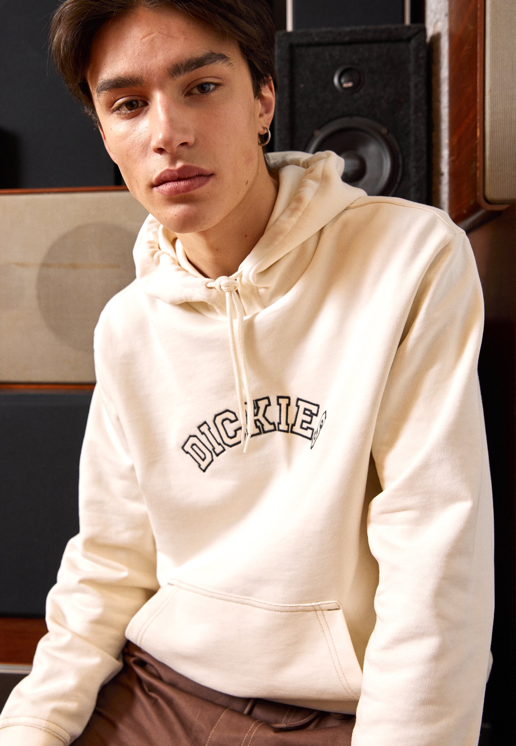 Dickies WEST VALE HOODIE - Sweatshirt - cloud/blanc - ZALANDO.FR