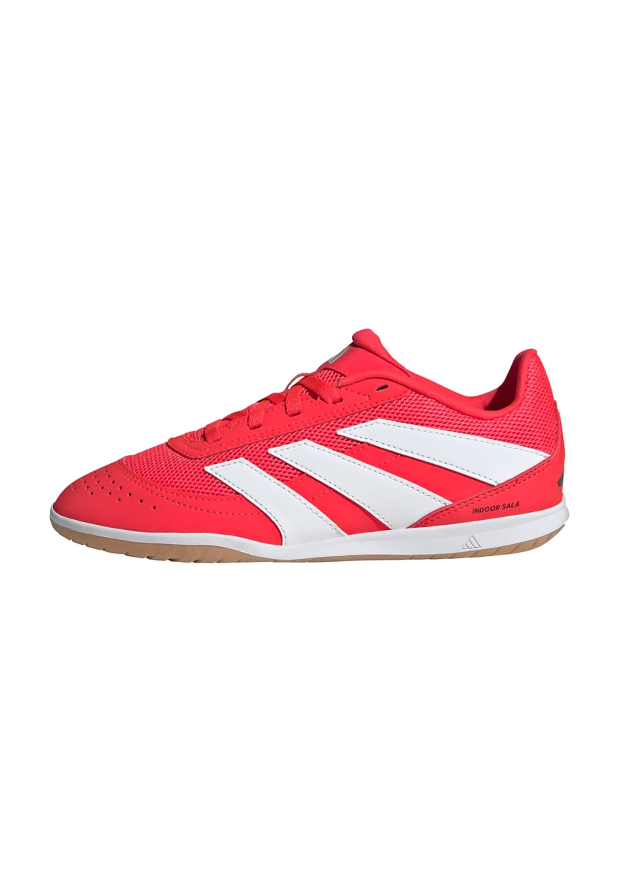 adidas Performance PREDATOR CLUB SALA INDOOR KIDS - Indoor football boots -  lucid red ftwr white core black/red - Zalando