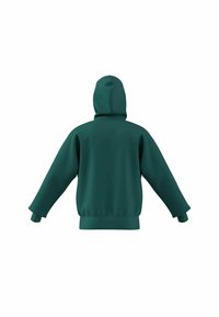 Felpa verde con vestibilità comoda, cappuccio grande e polsini a costine. Il tessuto sembra morbido, liscio e consistente, senza pattern visibili o hardware.