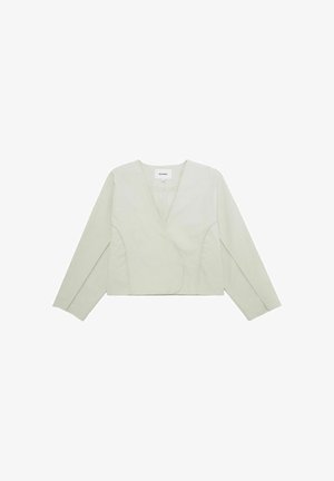 Hellgrünes Wickeloberteil mit langen Ärmeln, V-Ausschnitt und Nahtdetails. Hergestellt aus einem glatten, leicht strukturierten Stoff.