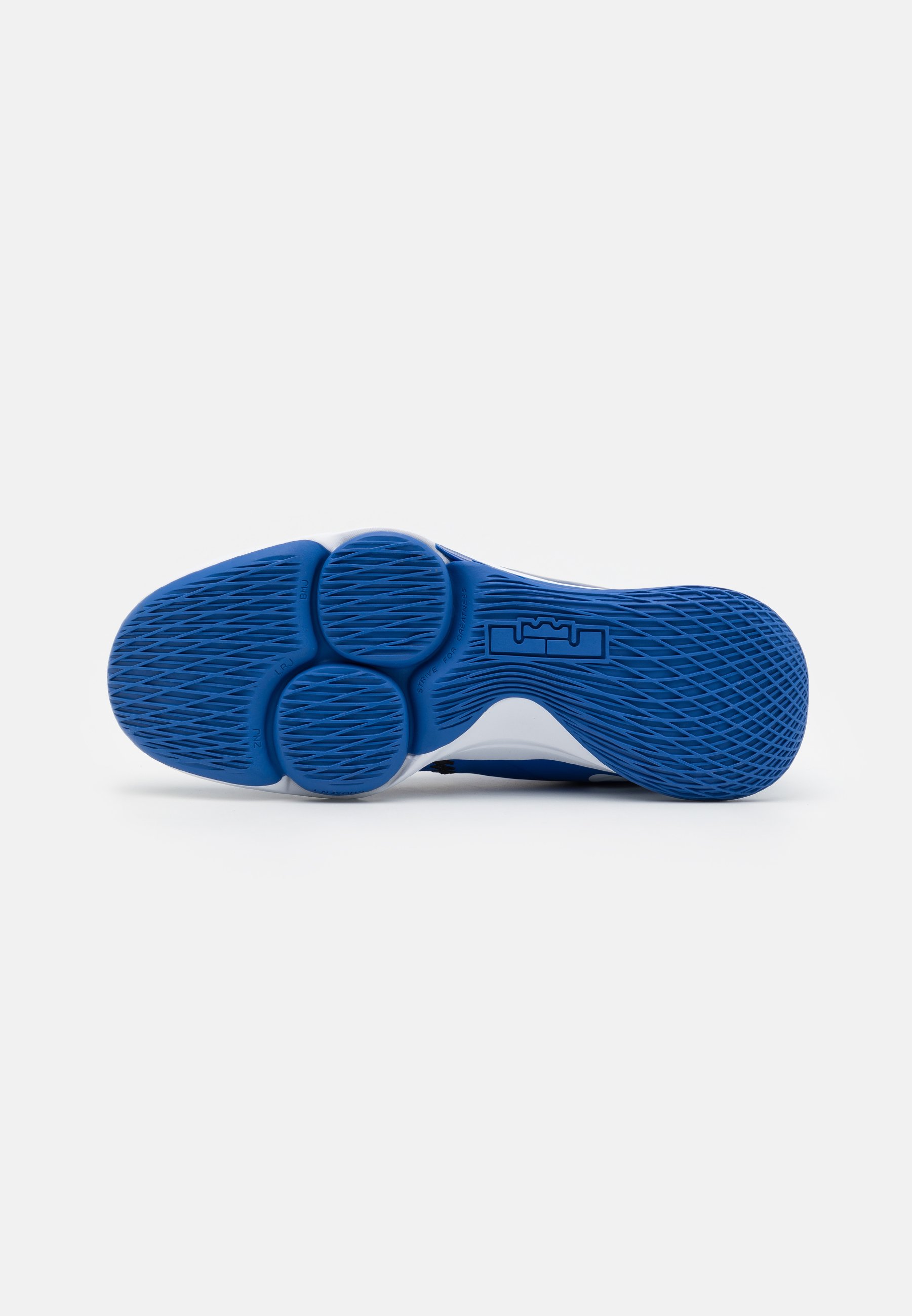 Nike Performance LEBRON WITNESS 5 