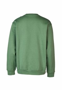 Green sweatshirt with a crew neckline, long sleeves, and ribbed cuffs. Made from a soft cotton blend with a smooth texture, no patterns.