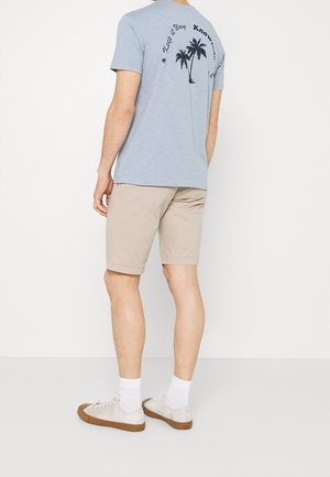 Lichtblauw T-shirt met korte mouwen en een palmboomprint op de rug. Gecombineerd met beige shorts en witte sokken, afgewerkt met lichte schoenen.