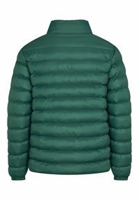 Groene pufferjack met hoge kraag, gequilt ontwerp en geribde manchetten. Heeft een gladde, glanzende textuur zonder zichtbare branding.