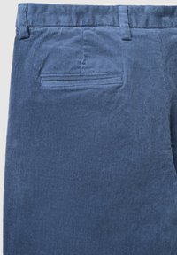 Pantaloni in corduroy blu con una texture morbida, dotati di una tasca posteriore e di un cinturino. Motivo a righe verticali su tutta la stoffa.