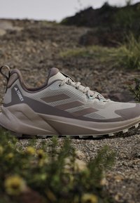 Beżowo-brązowy but trekkingowy Adidas Terrex na kamienistej ścieżce z zielenią na pierwszym i drugim planie.