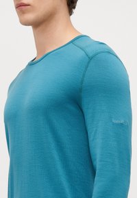 Camisa de manga longa verde-água em um tecido leve e texturizado. Decote arredondado e costura em contraste com um logótipo na manga esquerda.