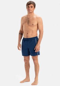 Quiksilver EVERYDAY VERT VOLLEY 16 - Bañador corto - bsw