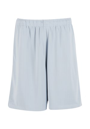Lichtblauwe sportshorts met een elastische tailleband, voorzien van verticale krijtstreeppatroon en een glad, lichtgewicht stof.