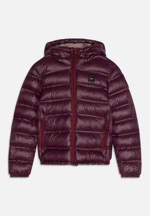 SHORT - Winter jacket - wine