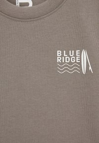 Pelēks sporta krekls ar baltu drukātu logo, kas lasāms "BLUE RIDGE" un apvieno sērfošanas dēļa un viļņu grafiku. Gluda kokvilnas auduma tekstūra.