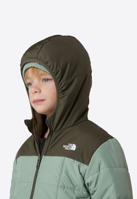 Roheline isoleeritud jope pruunika kapuutsiga; varustatud luku ja logoga, tekstureeritud kangas ning keha peal ruuduline muster.