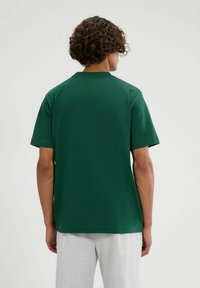 Groene katoenen T-shirt met korte mouwen, ronde hals, boxy vorm en een gladde textuur. Geen zichtbare logo's of patronen. Achteraanzicht.