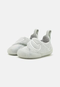Nike Performance UNISEX - Utcai futócipők - light silver/sail/phantom/vast grey