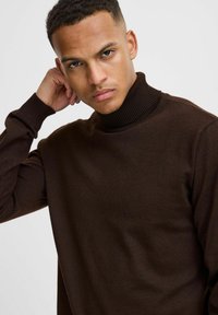Maglione a collo alto in maglia marrone con colletto a coste; maniche lunghe e leggero effetto di texture. Il modello ha un'espressione neutra ed è parzialmente girato.