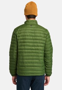 Groene geïsoleerde jas met horizontale stiksels, opstaande kraag en elastische manchetten. Draagt een oranje beanie. Logo op de bovenrug.