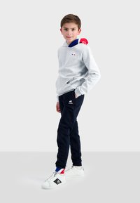 pull le coq sportif femme
