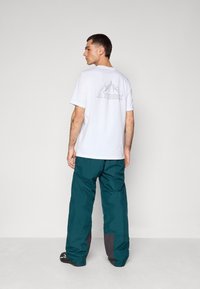 Vit t-shirt med en svart berggrafik och "TERREX"-logotyp på baksidan, tillsammans med tealbyxor med mörkgrå detaljer.
