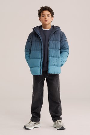 WE Fashion, Veste d'hiver - greyish green