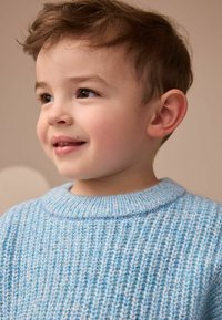 Maglione lavorato a maglia di colore azzurro chiaro con scollatura rotonda. La trama presenta una lavorazione morbida e voluminosa con lievi variazioni di colore.