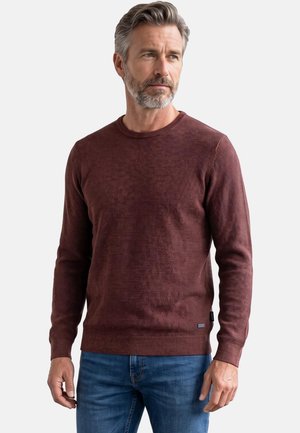 Mann mit grauen Haaren und Bart, der einen strukturierten weinroten Langarmpullover und blaue Jeans trägt und seitlich vor einem einfarbigen Hintergrund schaut.