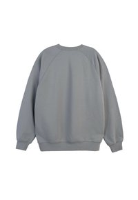 Szara bluza z luźnym krojem, rękawami raglanowymi, rypsowym okrągłym dekoltem i mankietami. Wykonana z miękkiego materiału o gładkiej fakturze.