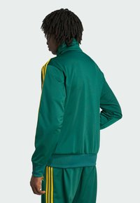 Zelená sportovní bunda se žlutými pruhy. Vyrobena z hladké látky, má vysoký límec a žebrované rukávy. Jednoduchý design, sportovní vzhled.