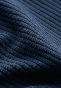 Seasalt Cornwall GORSE LANE - Hosszú ujjú felső - navy  maritime